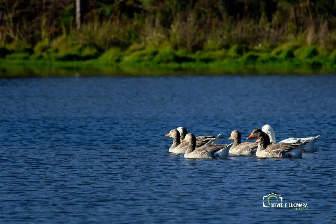 Refugio Do Lago Lages Πανδοχείο